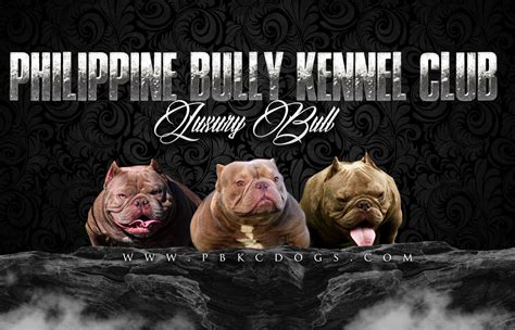 bully price philippines|Philippine American Bully Club .